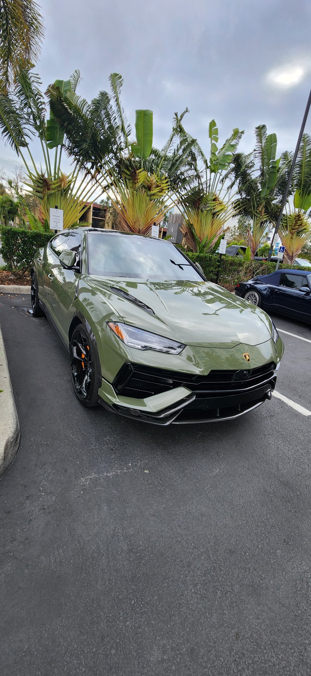 Professional Car Wash&nbsp;Detailing